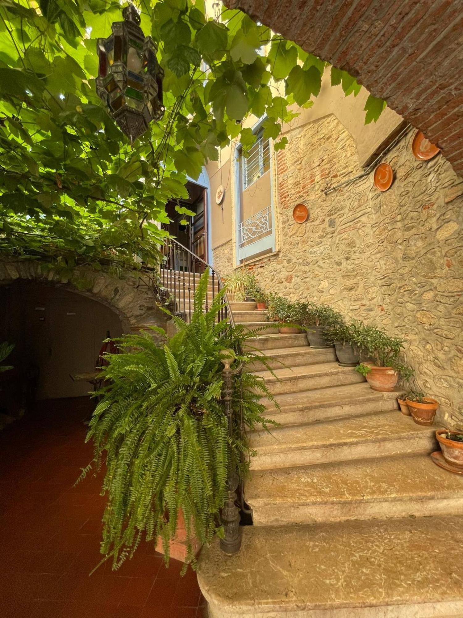 Hotel Vidal Ceret Exterior photo